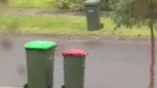 My Greenwaste and Garbage collection!! | 22/10/2025
