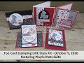 Too Cool Stamping LIVE Class Replay: Playful Pets