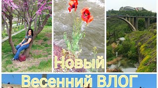 ВЛОГ-Нарезка: Все Как Вы Любите + Весенний Ереван 🌼🌿🌱🍀🌴🌷