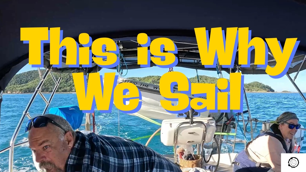 ⁣This is Why We Sail: Whales, Friends & Aboriginal Cave Art: Sailing to Nara Inlet Whitsundays Ep 141