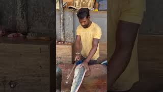 #fishing #fish #food #bollywood दुनिया के सबसे अच्छी मछली