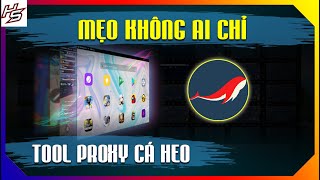 MẸO SỬ DỤNG TOOL PROXY CÁ HEO MÀ KHÔNG AI NÓI CHO BẠN BIẾT - | Thiên Nhai TV