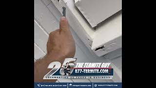 Termite Inspection