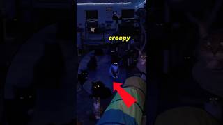 Halloween Cats Part 2