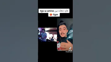 قصف جديد على هشام و على وردة 2023 