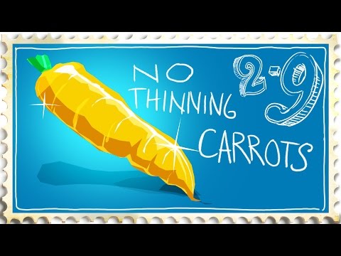 Best Way to Grow Carrots. Never Thin Again!