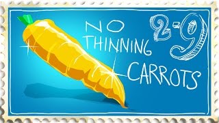 Best Way to Grow Carrots. Never Thin Again!