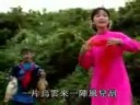 小媳婦回娘家  鄧麗君 - 天天要聞