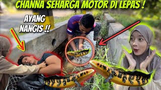 IKAN KU SEHARGA MOTOR DI LEPAS DI SUNGAI !! 😭