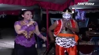 Live Streaming BLS Music