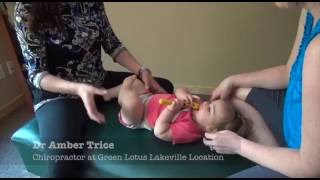 Green Lotus Holistic Healthcare and Chiropractic