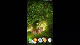 Forest Deer Live Wallpaper Demo screenshot 4