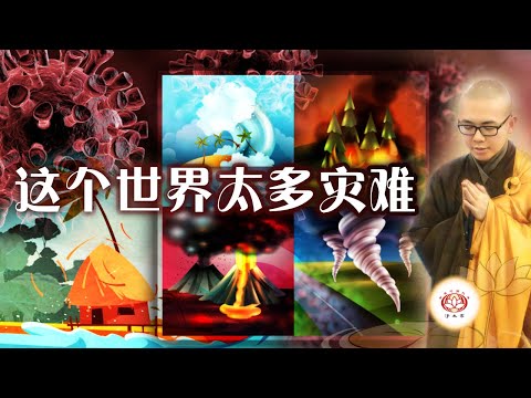 这个世界太多灾难（真实故事） | 净本法师 主讲