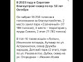 Новости Саратова: В 2023 году благоустройство сквера по пр.50 лет Октября