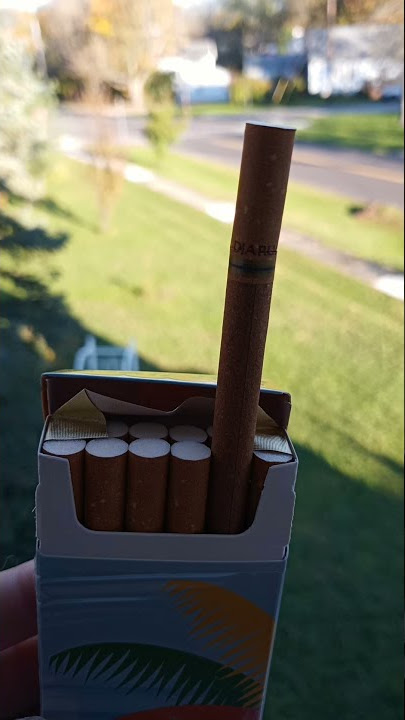 DJARUM Bali Hai Review #shorts