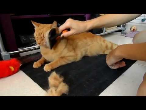 Video: Come realizzare con Cat Fur
