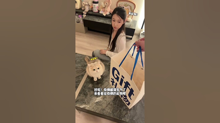 【#薄荷猫猫甜不甜】回到家发现老婆和猫女儿互相生气!手心手背都是肉不知道该帮谁? #皇家餐包#阿皇好友联萌季