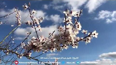 سورة غافر ( 1 - 20 ) تلاوة تحبيريه آسره للشيخ خليل عبدالرحمن القارئ رحمه الله
