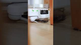 Testing DJI ROMO 2 Against Every Mess in the House