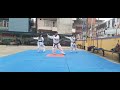 Taekwondo poomsae