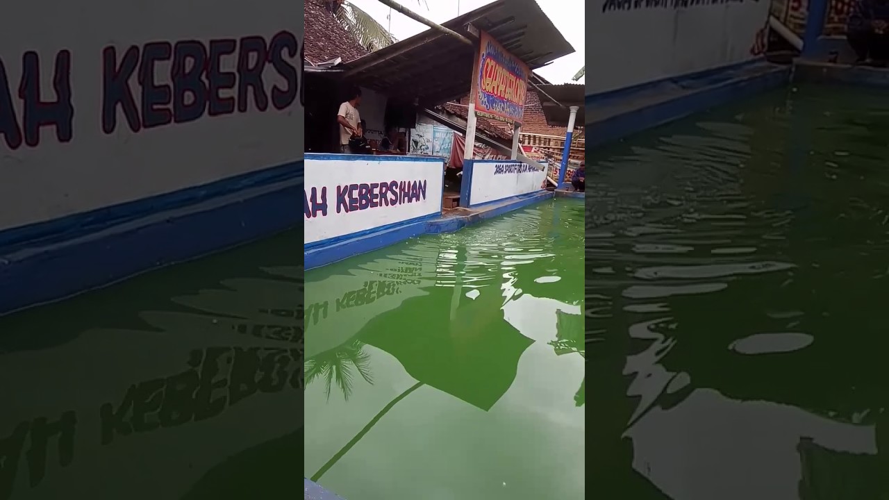 Mancing ikan lele galatama