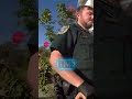 PARENTS Caught Leaving Kids in SHOCKING Conditions!