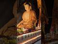 Wesak Day Buddha Purnima In Malaysia Buddha Shortsfeed Shortvideo Shorts Malaysia Malayalam Wesak Day Buddha Purnima In Malaysia Buddha Shortsfeed Shortvideo Shorts Malaysia Malayalam