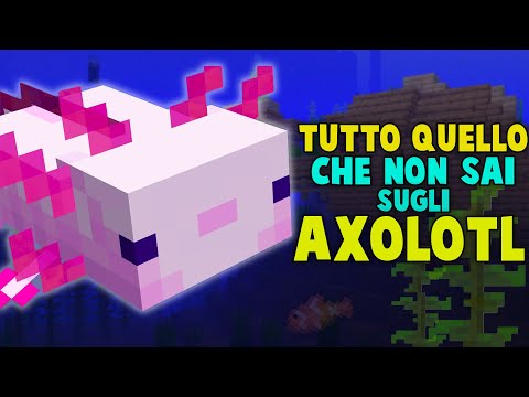 Video: Dove si generano gli axolotl?