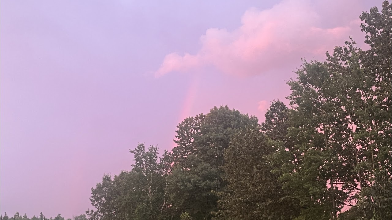 last few placement games come chat