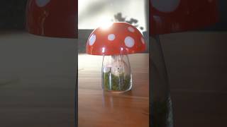 DIY Pilzlampe 🍄 Aus nur 3 IKEA Artikeln‼️😍 #ikea #homedecor #diy