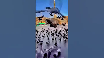 O Meri Nabi Hy Naat 