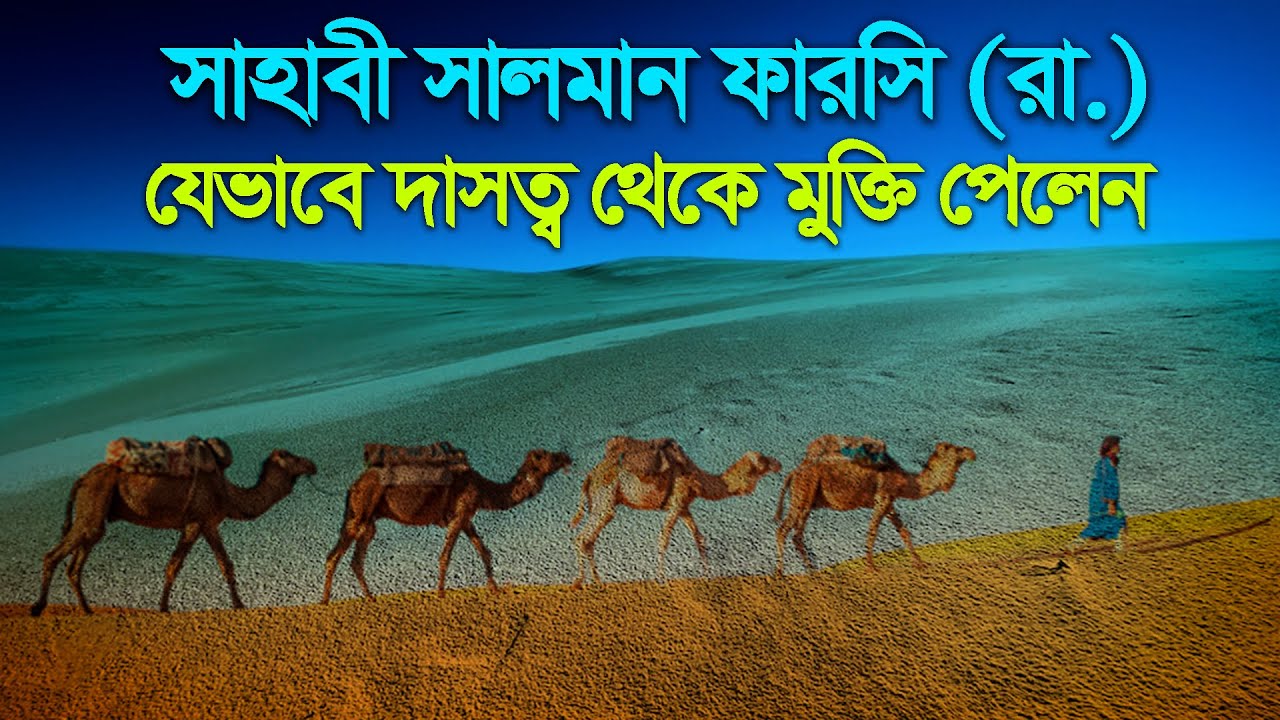 Sahabider Path সাহাবী সালমান ফারসি (রা.) যেভাবে দাসত্ব থেকে মুক্তি পেলেন | সাহাবীদের ...