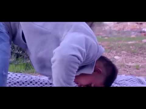 اكثر انشودة تعشقها عشاق الشهادة انشودة قمري الشهيد