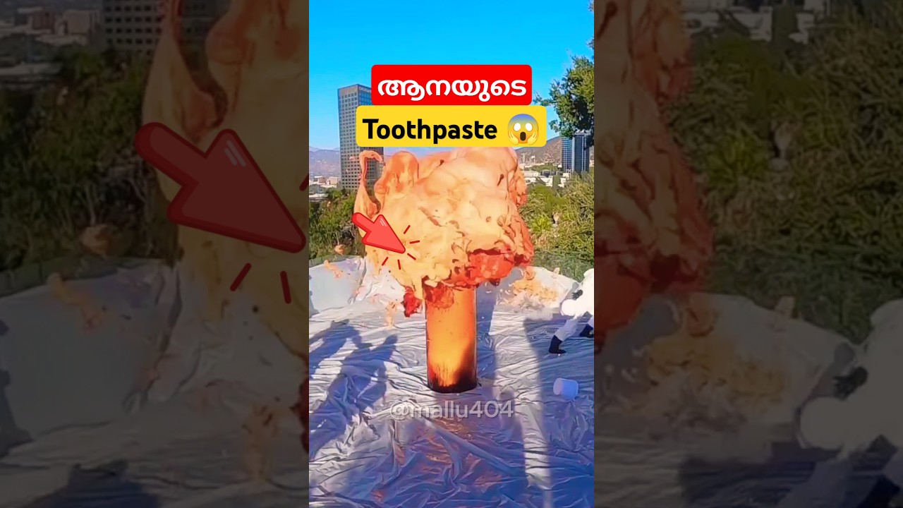 ആനയുടെ Toothpaste 😱| Elephant Toothpaste Experiment | 