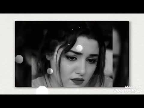 شيرين وبحلفلك