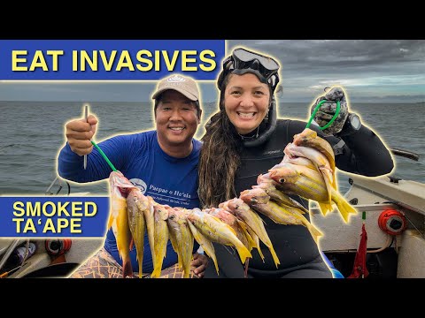 Ta Ape Invasive Fish Species Of Hawaii Eat The Invasives W Kimi Werner And Chef Mark Noguchi