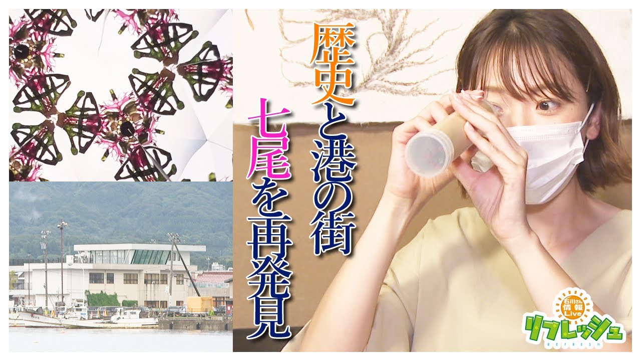 歴史と港の街　七尾を再発見（旅したがーる）