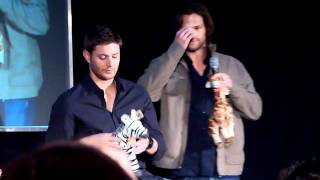 Supernatural JIB 2011 Day2_Jensen panel - Boys with the stuffed animals