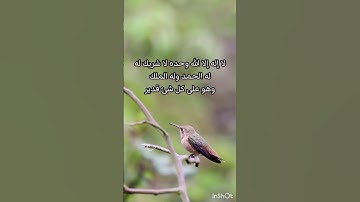 ( إن الأبرار لفي نعيم)تلاوة لا توصف خشوع عجيب/طبيعة وطيور(سبحان الله وبحمده سبحان الله العظيم)