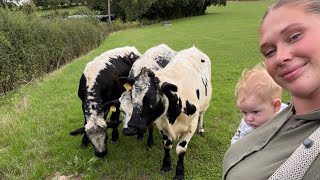 IM BACK FARMING!!