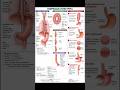 Esophagus Made Easy 💯 | Anatomy + All Important Diseases (Achalasia, GERD, Hernia) | NORCET तैयारी