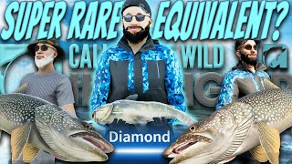 MY RAREST DIAMOND! DAY TIME Diamond Bullhead Catfish & MASSIVE Diamond Lake Trout! COTW The Angler