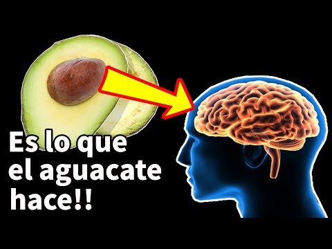 Nunca <strong>comas</strong> AGUACATE antes <strong>de</strong> ver ESTO! | Es lo que sucede en tu cerebro al consumirlo