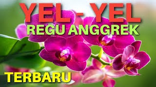 Yel-Yel Regu Anggrek | Terbaru