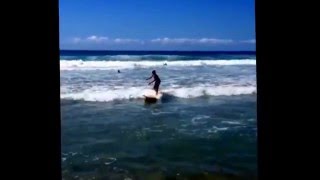 Ry Bk Allen And Benny Surfing Lessons Follow - Ind Instagram