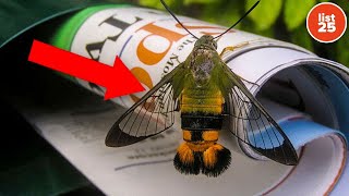 100 Weird Facts That Are Wild and True Profile