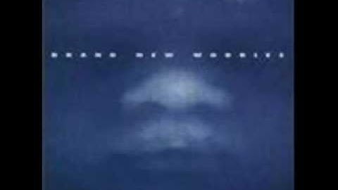 3 Penny Needle - Lemming Song