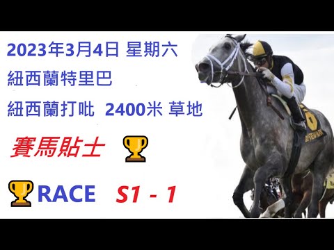 2023年3月4日🏆🐴星期六 紐西蘭特里巴🏆紐西蘭打吡 - 2400米 草地香港賽馬貼士 💰HONG KONG HORSE RACING TIPS RACE S1 1