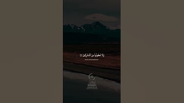 #المنشاوي #محمد_صديق_المنشاوي #القران_الكريم #قران_كريم #القرآن_الكريم #قرآن #تلاوة_خاشعة