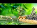 Soothing Music for Relaxing, Deep Sleep Stress Relief Music, Spa Music, Rain Sounds for Sleeping